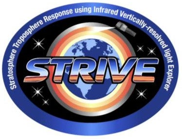 STRIVE logo