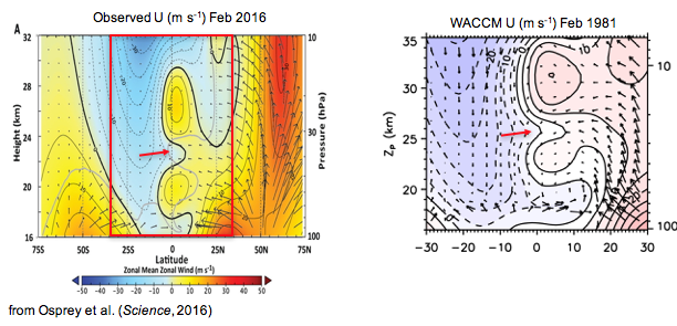 Tropical lower stratospheric zonal wind