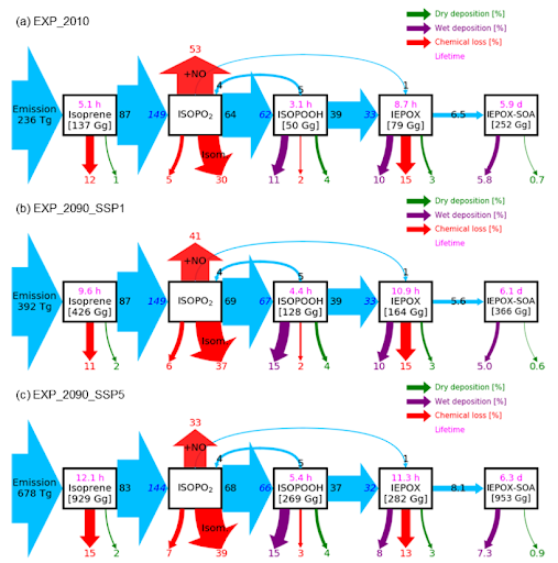 Relative mass flux diagrams for global IEPOX SOA budget analysis in CESM2.1.0.