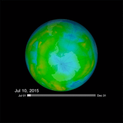 This animation shows the opening and closing of the Antarctic ozone hole (dark blue) in 2015. (Animation courtesy of NASA.)