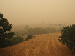 Smoke from Australian bush fires on 5 January 2020. Photo by Steve Shattuck from Canberra, Australia, on Wikimedia Commons.