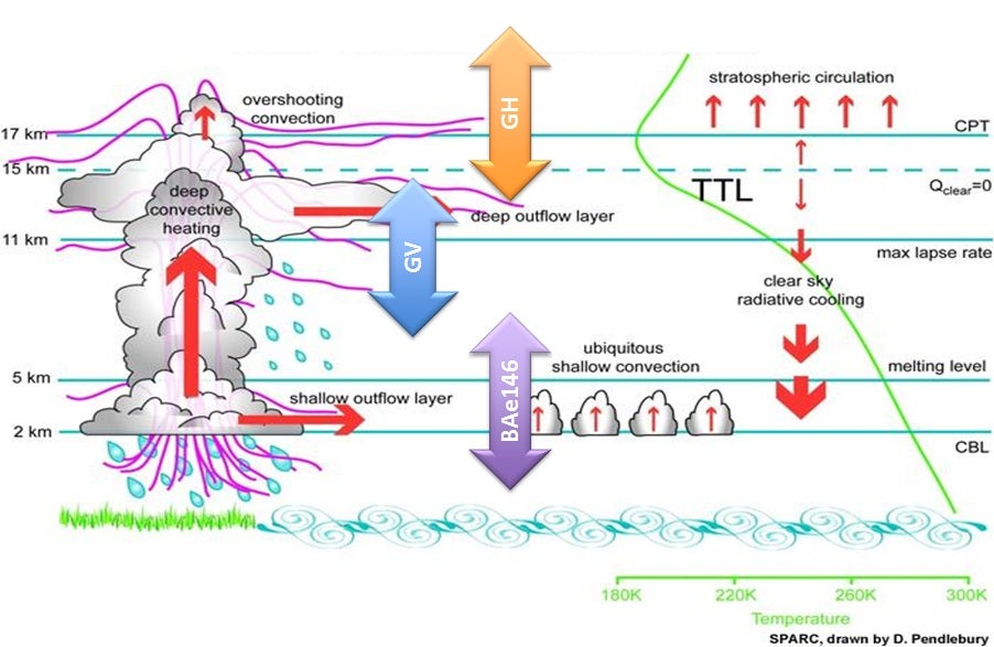 TTL and Convective Transport