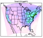 Surface concentrations of total CO.