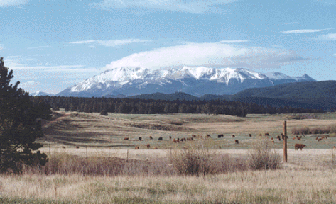 Manitou Experimental Forest