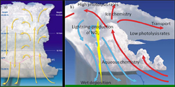 Mature airmass thunderstorm & squall line cross section