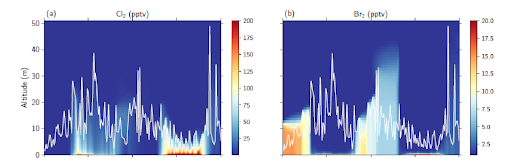 Modeled vertical distributions of (a) Cl2 and (b) Br2.
