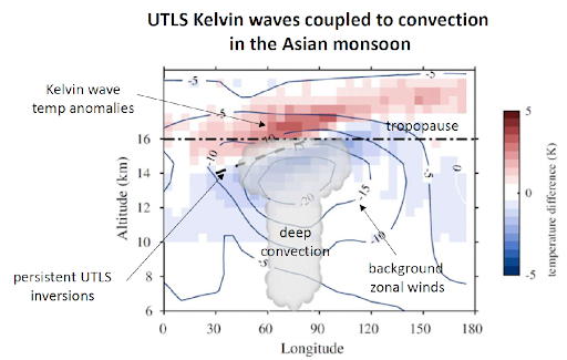 UTLS Kelvin Waves Coupled to Convection in the Asian Monsoon
