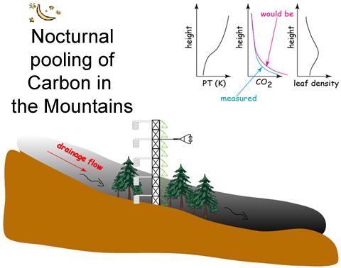 Nocturnal pooling of Carbon in the Mountains