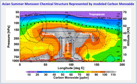 Asian Summer Monsoon Chemical Structure Represented by Modeled Carbon Dioxide