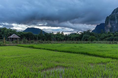 1024px-Green_paddy_fields_under_heavy_clouds_at_dusk_in_Vang_Vieng,_Laos.jpg