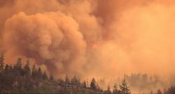 An Oregon wildfire burns in 2013. The increasingly widespread wildfires in the Pacific Northwest are affecting air pollution across North America. (Photo by Bureau of Land Management.)